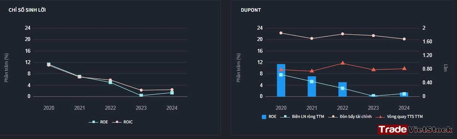 Chỉ Số Sinh Lời Và Các Chỉ Số Hoạt động Khác Của HT1 - Phân tích cổ phiếu Hà Tiên HT1 (Trade Việt Stock)