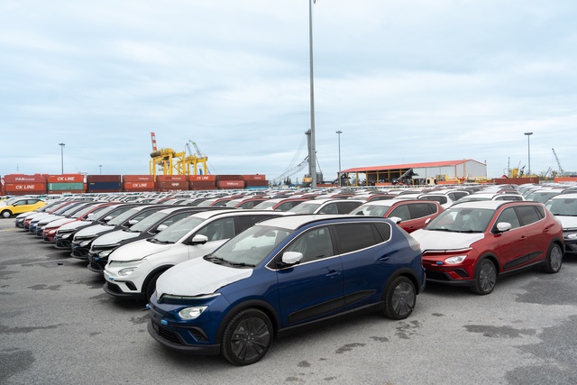 2.500 ô tô điện VinFast lên đường tới Indonesia- Ảnh 4.