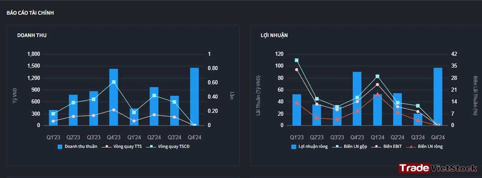 Doanh Thu Và Lợi Nhuận Quý 4 2024 Của Dpg Trade Việt Stock