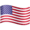 🇺🇸