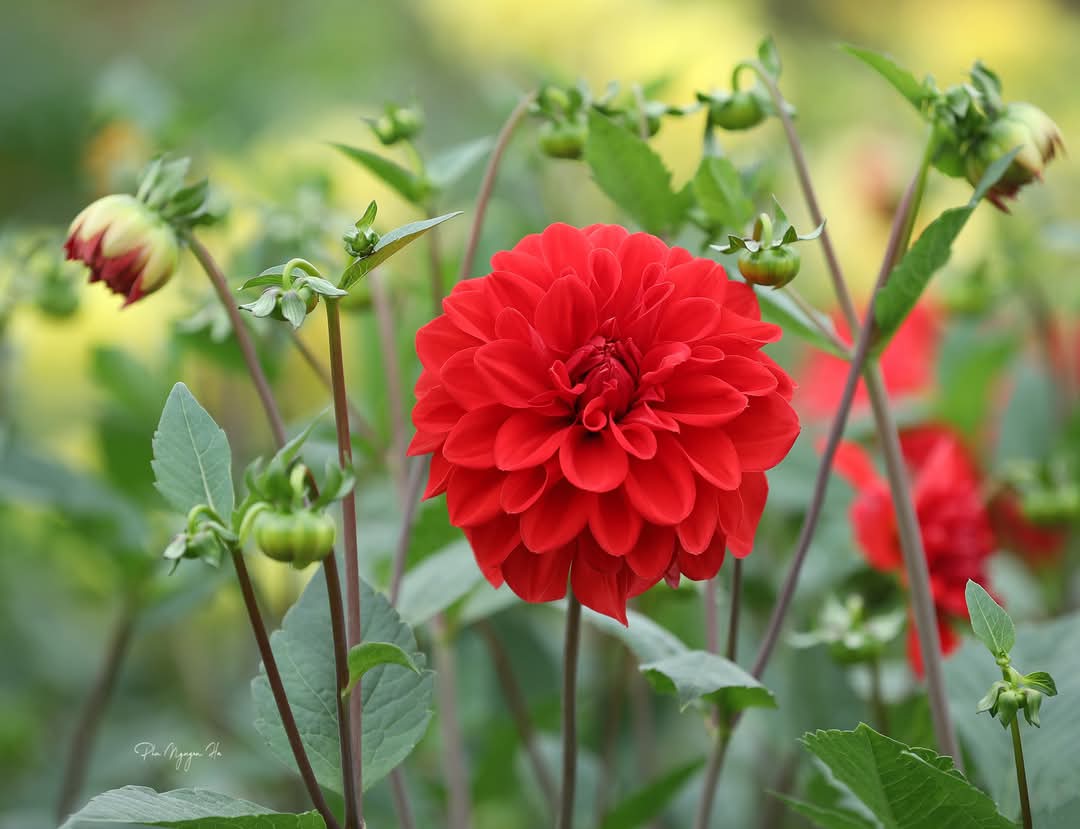 FB_IMG_1738029066266