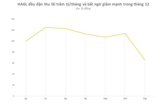 Bán gần 300.000 con heo và 300.000 tấn chuối chưa đủ trả lãi vay, “bí mật” cho mức lãi đều đặn trăm tỷ/tháng của Hoàng Anh Gia Lai là gì? - Ảnh 1.