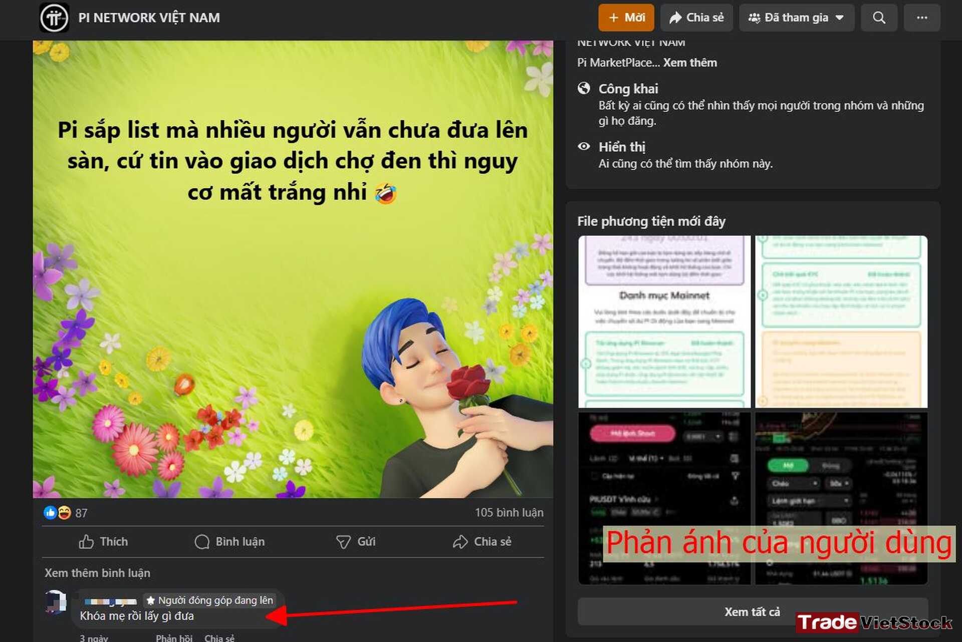 Phản ánh Của Người Dùng Pi Network Trade Việt Stock