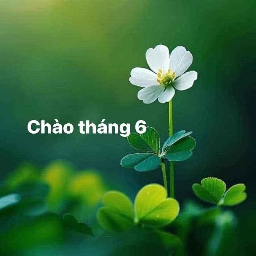 FB_IMG_1748736360295