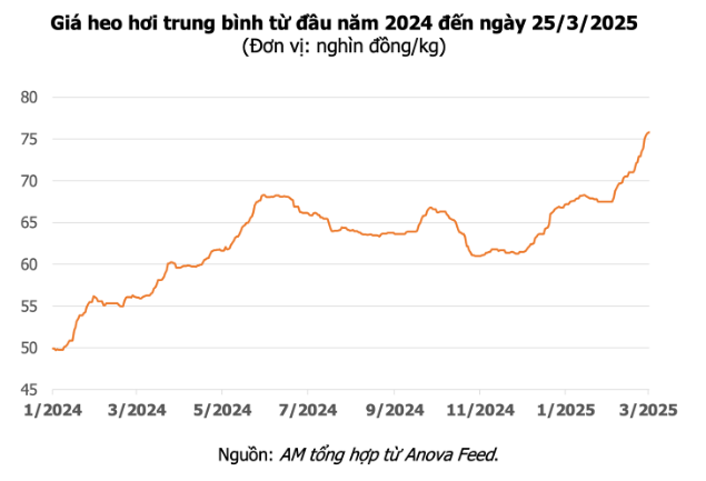 Screenshot 2025-03-25 093730