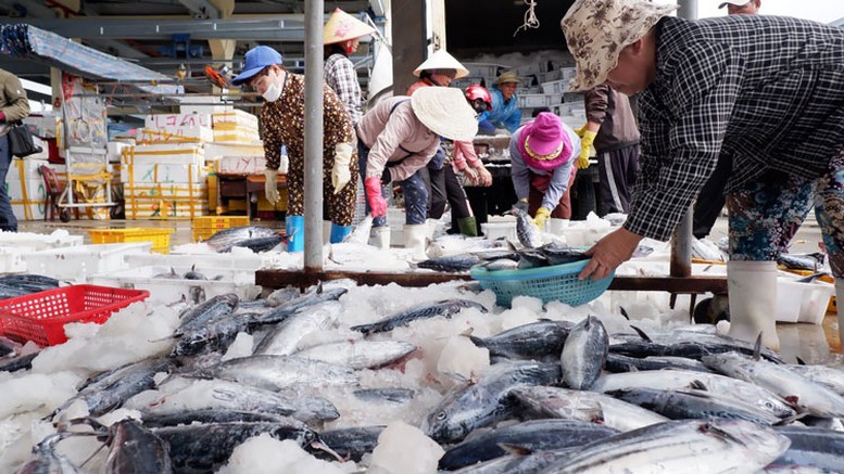 Bộ trưởng Bộ Công Thương gửi thư đề nghị Hoa Kỳ xem xét khách quan về thương mại thủy sản- Ảnh 1.