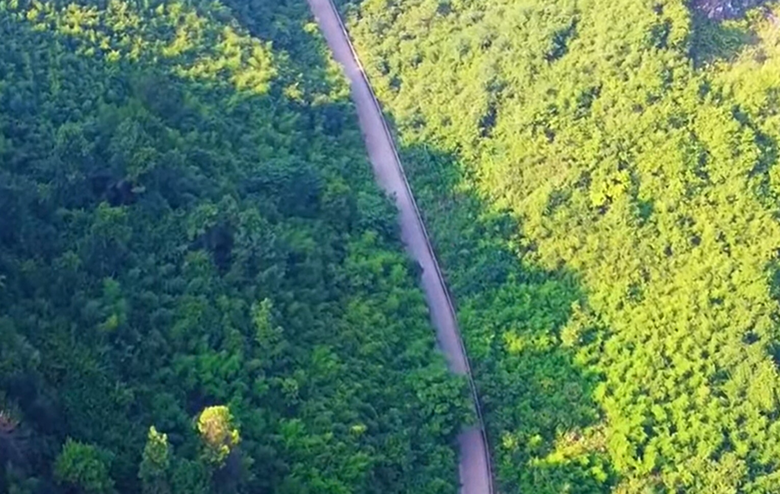 Hình ảnh tuyến đường duy nhất nối Bình Phước với Đồng Nai nhưng bị ngăn cách- Ảnh 12.